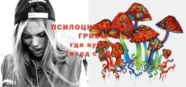 прущая мука Аркадак